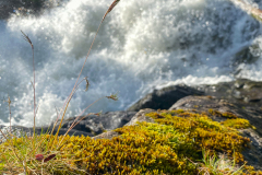 Fiske-i-Norge-2022-15