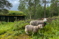 Fiske-i-Norge-2022-22