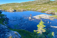 Fiske-i-Norge-2022-30-1