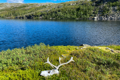 Fiske-i-Norge-2022-35