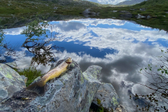 Fiske-i-Norge-2022-40