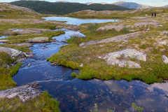 Fiske-i-Norge-2022-52