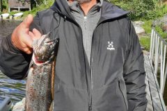 Lite-gladare-Dag...-scaled